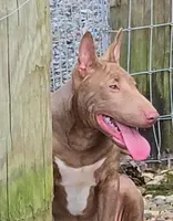 processed/4bcb8558-a1fe-49d3-9f03-2e89b59b5699/listing/42d40682-430d-4fa7-9859-ced91f3de2dc/36db3955-dc06-4cfc-bfa0-04326c6b09dc