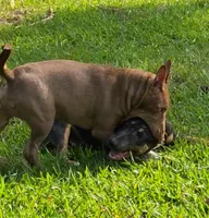 processed/4bcb8558-a1fe-49d3-9f03-2e89b59b5699/listing/42d40682-430d-4fa7-9859-ced91f3de2dc/4cd48318-b277-4adb-b8b1-2a1cf330862e