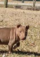 processed/4bcb8558-a1fe-49d3-9f03-2e89b59b5699/listing/42d40682-430d-4fa7-9859-ced91f3de2dc/88b39d72-b1fc-43e9-8341-bc258b31dc79