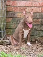 processed/4bcb8558-a1fe-49d3-9f03-2e89b59b5699/listing/42d40682-430d-4fa7-9859-ced91f3de2dc/8d3bf84a-3155-4334-b94c-5839f66753de