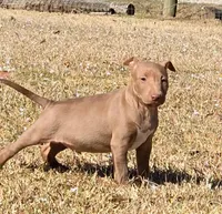 processed/4bcb8558-a1fe-49d3-9f03-2e89b59b5699/listing/42d40682-430d-4fa7-9859-ced91f3de2dc/eb12f830-9274-40a5-99c3-0677983971a1