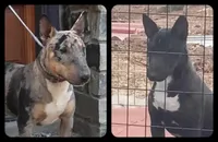 processed/4bcb8558-a1fe-49d3-9f03-2e89b59b5699/listing/42d40682-430d-4fa7-9859-ced91f3de2dc/fdaba6d0-8ac5-431a-b367-a4d4cd3e7b44