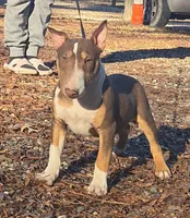 processed/4bcb8558-a1fe-49d3-9f03-2e89b59b5699/listing/6c8a6b26-6ba8-450d-9f30-94ff649cd553/02f88dca-4da7-4bcc-91c1-7a5cc14646ed