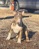 processed/4bcb8558-a1fe-49d3-9f03-2e89b59b5699/listing/6c8a6b26-6ba8-450d-9f30-94ff649cd553/2a88cfd5-f345-4762-93e6-42f6e08e3c5d