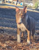 processed/4bcb8558-a1fe-49d3-9f03-2e89b59b5699/listing/6c8a6b26-6ba8-450d-9f30-94ff649cd553/c3b25a43-21a2-4202-bc1d-ae4d67d17df6