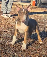 processed/4bcb8558-a1fe-49d3-9f03-2e89b59b5699/listing/6c8a6b26-6ba8-450d-9f30-94ff649cd553/f02529b9-f273-4865-840f-ee6a503d5f8d