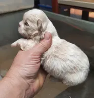 processed/4bcb8558-a1fe-49d3-9f03-2e89b59b5699/listing/9bc3856b-477a-488b-8b6d-e384cdcdd05e/a280d9ff-9638-44f3-919d-eb8f039babe2