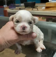 processed/4bcb8558-a1fe-49d3-9f03-2e89b59b5699/listing/9bc3856b-477a-488b-8b6d-e384cdcdd05e/da0ad1e0-b138-43ab-8cb4-40fcb90495b3