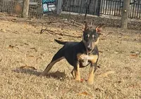 processed/4bcb8558-a1fe-49d3-9f03-2e89b59b5699/listing/b854e265-b5a4-44b6-b06b-46b99d6a9535/19ca1b00-fe55-48c3-a0fc-7e86058e40a7