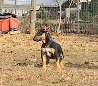 processed/4bcb8558-a1fe-49d3-9f03-2e89b59b5699/listing/b854e265-b5a4-44b6-b06b-46b99d6a9535/3d6c6526-4118-407b-bf22-b365642c85d2