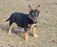 processed/4bcb8558-a1fe-49d3-9f03-2e89b59b5699/listing/b854e265-b5a4-44b6-b06b-46b99d6a9535/6e2bfdee-3432-4c4d-a822-5e4cfe5f202f