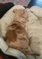 processed/4bcb8558-a1fe-49d3-9f03-2e89b59b5699/listing/c98f7116-3708-4562-8d84-e9a9906b152c/a645a9c4-1094-4d97-a6c6-2d4003151ffe