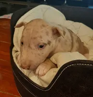 processed/4bcb8558-a1fe-49d3-9f03-2e89b59b5699/listing/c98f7116-3708-4562-8d84-e9a9906b152c/b1c3a83e-f0bf-41b4-ac42-95e54e41b931