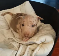 processed/4bcb8558-a1fe-49d3-9f03-2e89b59b5699/listing/c98f7116-3708-4562-8d84-e9a9906b152c/c0765b7f-6c1a-44eb-b570-3b7ef589a208