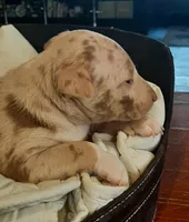 processed/4bcb8558-a1fe-49d3-9f03-2e89b59b5699/listing/c98f7116-3708-4562-8d84-e9a9906b152c/e593ba5b-29b9-496e-a04d-98ea2f3c8119