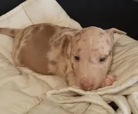 processed/4bcb8558-a1fe-49d3-9f03-2e89b59b5699/listing/c98f7116-3708-4562-8d84-e9a9906b152c/fc1bb708-e66d-4310-9dd3-607175124a49