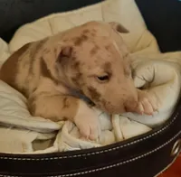 processed/4bcb8558-a1fe-49d3-9f03-2e89b59b5699/listing/c98f7116-3708-4562-8d84-e9a9906b152c/fc883600-c58f-4e4a-b12f-d117fc33f680