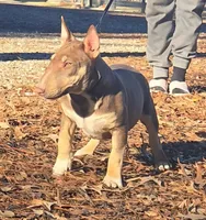 processed/4bcb8558-a1fe-49d3-9f03-2e89b59b5699/listing/d0a5f489-c0ec-44e8-ae78-807c5af1b546/205c57b7-5c81-4063-9963-66f0ee6cc042