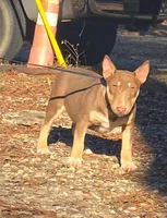 processed/4bcb8558-a1fe-49d3-9f03-2e89b59b5699/listing/d0a5f489-c0ec-44e8-ae78-807c5af1b546/235fbceb-1aac-4757-bd4e-4786d258b64f