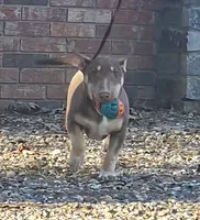 processed/4bcb8558-a1fe-49d3-9f03-2e89b59b5699/listing/d0a5f489-c0ec-44e8-ae78-807c5af1b546/4690f86b-72c9-4c81-a721-85316c0c4925