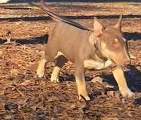 processed/4bcb8558-a1fe-49d3-9f03-2e89b59b5699/listing/d0a5f489-c0ec-44e8-ae78-807c5af1b546/7abe84dc-e2b7-4ebd-82ea-0b27c80bbb91