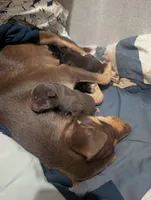 Facility photo