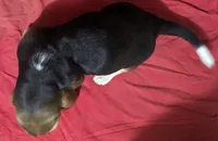 processed/4bdc922e-e0d1-43e1-ba8f-702b7760ea12/listing/4734129b-174b-4740-b63b-1deb7ee00b5a/afa243ff-263f-4ff3-b4a9-47b618b6582b