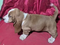 processed/4bdc922e-e0d1-43e1-ba8f-702b7760ea12/listing/5c4d32d4-2a9f-473f-b1bb-befb74de34d4/0c101ef3-b3d4-4024-8ca7-6636b49cb45c