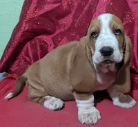 processed/4bdc922e-e0d1-43e1-ba8f-702b7760ea12/listing/5c4d32d4-2a9f-473f-b1bb-befb74de34d4/4fb58141-e226-4b8e-a94a-2c872287aa53