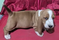 processed/4bdc922e-e0d1-43e1-ba8f-702b7760ea12/listing/5c4d32d4-2a9f-473f-b1bb-befb74de34d4/93be0802-41f7-4609-92f4-be3e8a5a36cc