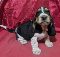 processed/4bdc922e-e0d1-43e1-ba8f-702b7760ea12/listing/6b7efae1-cb35-4d0c-94fa-859893bd3f89/3ba5ca24-a415-48b0-a814-2ecccc47e680