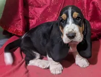 processed/4bdc922e-e0d1-43e1-ba8f-702b7760ea12/listing/c2b493db-c0de-481f-a7f0-950b91b6d53e/62222585-474b-480e-8af4-d9f815f2ce18