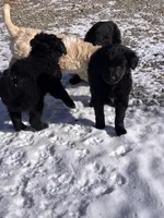 processed/4bdcacbe-feaf-4c96-8f8e-800f29dbbbfc/listing/09ccc75f-d7ca-4f30-b284-deca166e6ef1/47bf4a70-c890-48d0-b2e7-68d87b17eacf