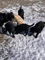 processed/4bdcacbe-feaf-4c96-8f8e-800f29dbbbfc/listing/60db0782-d8f1-46fb-b60e-ea27a7033e02/786b167c-2bdc-4e39-8393-69572268ae17