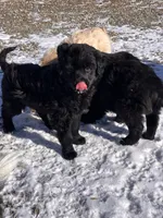 processed/4bdcacbe-feaf-4c96-8f8e-800f29dbbbfc/listing/60db0782-d8f1-46fb-b60e-ea27a7033e02/995b83a5-8fd2-484a-9699-378572e9acce