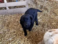 processed/4bdcacbe-feaf-4c96-8f8e-800f29dbbbfc/listing/8c04aa9d-bd71-4de0-8367-ac5472d07cf8/1c8a205e-adc6-48db-be23-5d82da7d23e3