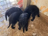 processed/4bdcacbe-feaf-4c96-8f8e-800f29dbbbfc/listing/c43552d3-4eef-4e4c-ab05-143c8963e5f9/323f40e7-783a-46e0-91b3-002955d3ccf7