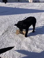 processed/4bdcacbe-feaf-4c96-8f8e-800f29dbbbfc/listing/c43552d3-4eef-4e4c-ab05-143c8963e5f9/4af5330e-f9c4-4132-905b-02e3126db538