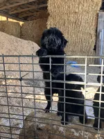 processed/4bdcacbe-feaf-4c96-8f8e-800f29dbbbfc/listing/c43552d3-4eef-4e4c-ab05-143c8963e5f9/c93bec45-8059-4277-9546-9a7f68cd6316