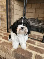 processed/4bdf03d0-d2b5-46a8-905c-4eed6db38e2e/listing/827266a4-ca38-46ef-b6e7-3f564488cfa7/0ccb8ae9-8c50-42e1-9b49-1c2835ae4b1c