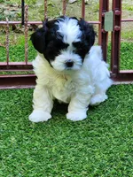 processed/4bdf03d0-d2b5-46a8-905c-4eed6db38e2e/listing/827266a4-ca38-46ef-b6e7-3f564488cfa7/18e0579a-1a48-4f41-b260-5678c604ace4