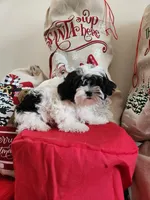 processed/4bdf03d0-d2b5-46a8-905c-4eed6db38e2e/listing/827266a4-ca38-46ef-b6e7-3f564488cfa7/3c6824b6-cc45-4e4e-a1d1-37728cf51584