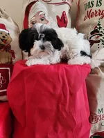 processed/4bdf03d0-d2b5-46a8-905c-4eed6db38e2e/listing/827266a4-ca38-46ef-b6e7-3f564488cfa7/7dbb028e-00ee-404b-ac63-c5f38c139d0d