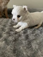 processed/4be2e78a-a8a0-4eb2-8a97-d9cbd4ba05b9/listing/03b8bdab-780e-4448-b827-fd102ceb7a3f/01282249-a4ac-48f0-ba32-f66069d8466f