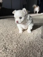 processed/4be2e78a-a8a0-4eb2-8a97-d9cbd4ba05b9/listing/03b8bdab-780e-4448-b827-fd102ceb7a3f/149bb0d3-f77b-4964-80c5-324fca2530e1