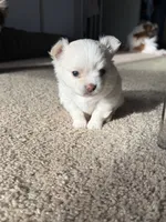 processed/4be2e78a-a8a0-4eb2-8a97-d9cbd4ba05b9/listing/03b8bdab-780e-4448-b827-fd102ceb7a3f/383d07e0-8a3f-4df9-9dc9-a4f299ff18ae