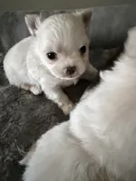 processed/4be2e78a-a8a0-4eb2-8a97-d9cbd4ba05b9/listing/03b8bdab-780e-4448-b827-fd102ceb7a3f/4427902e-28e9-4ea1-887c-1bb05425b0ae