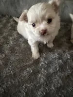 processed/4be2e78a-a8a0-4eb2-8a97-d9cbd4ba05b9/listing/03b8bdab-780e-4448-b827-fd102ceb7a3f/6d5695f8-e559-405c-a70e-41e04aa248be