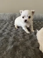 processed/4be2e78a-a8a0-4eb2-8a97-d9cbd4ba05b9/listing/03b8bdab-780e-4448-b827-fd102ceb7a3f/b874b74e-81ec-4eb9-aedc-f02ab33ee12c