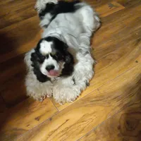 processed/4bf0257f-196c-400a-8e30-4fbc6e047e24/facility/1e59f604-6fe0-4f27-b131-55910edecf76